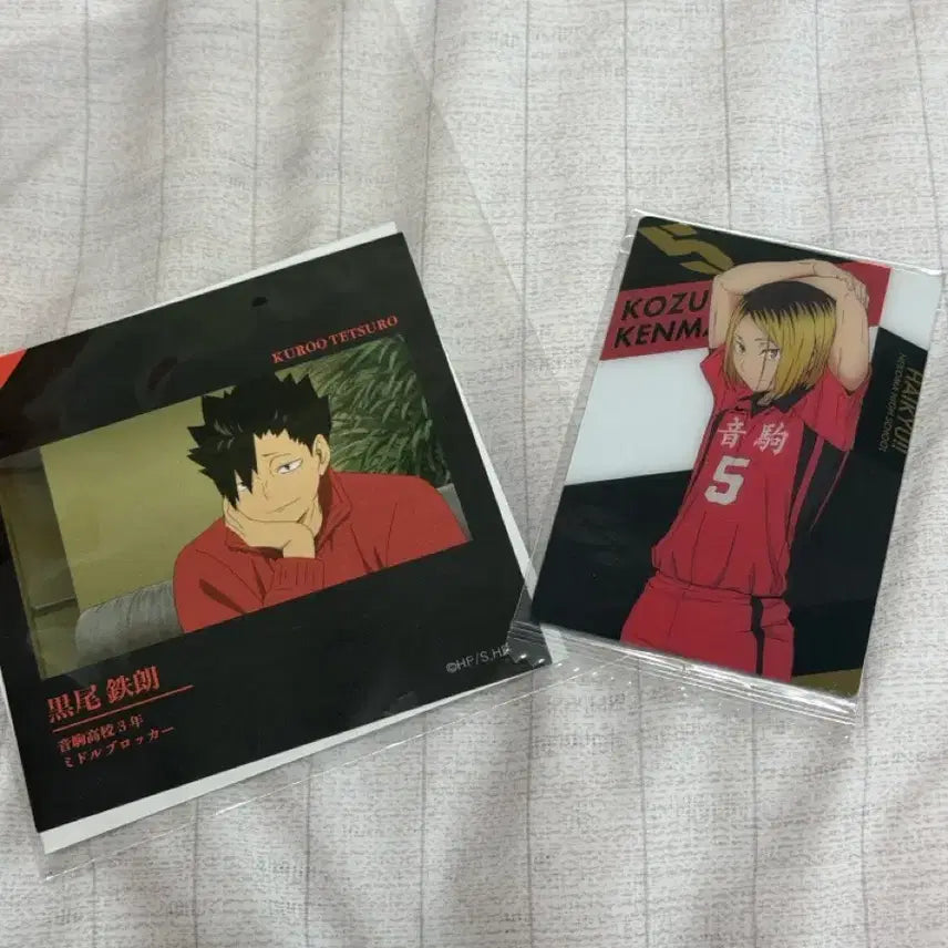 [BUNJANG] Haikyuu!! Kuroo Tetsurou &amp; Kozume Kenma Card Bundle Set / 하이큐 쿠로오 켄마 카드 일괄