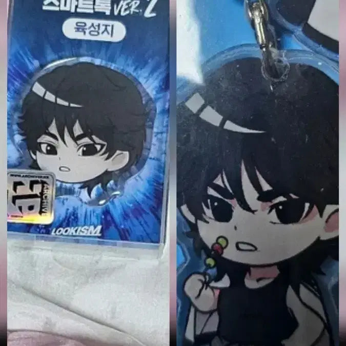 [BUNJANG] Lookism Gripsock &amp; Keychain Bundle Set / 오늘10시까지만일괄)외지주 외모지상주의 육성지 그립톡 키링 sd