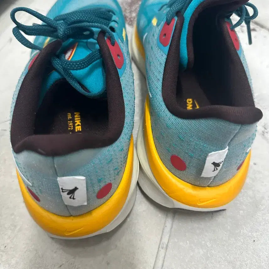 [BUNJANG] Nike Air Zoom Vomero 17 Running Shoes / {만원빈티지 최저가}나이키 에어 줌 보메로 17 러닝화 255