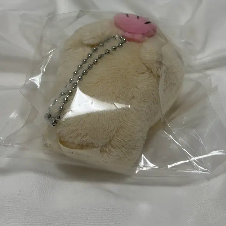 [BUNJANG] Capybara with Shell / 카피바라상 조개