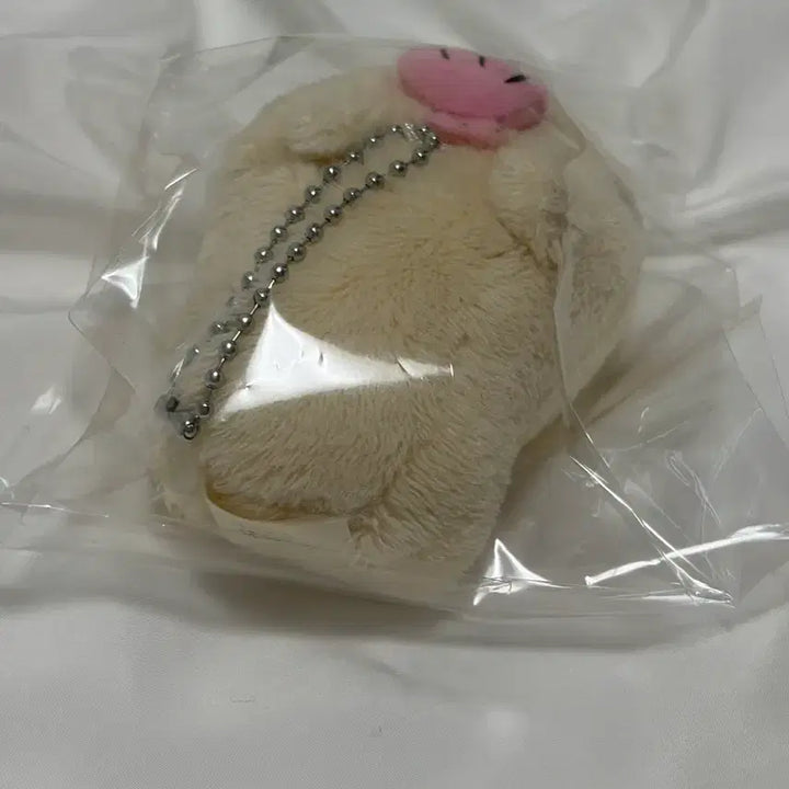 [BUNJANG] Capybara with Shell / 카피바라상 조개