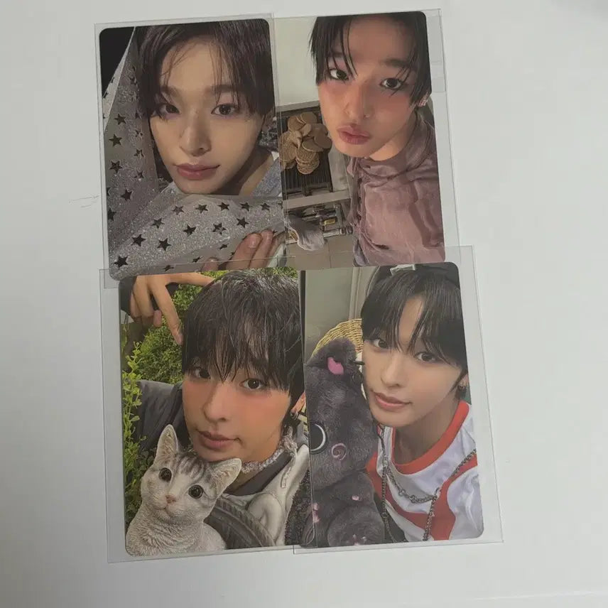 [BUNJANG] NCT WISH Photocard / 엔시티위시 포카 급처