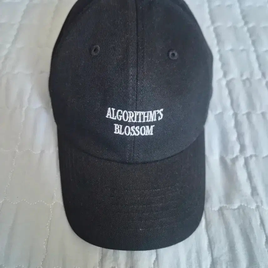 [BUNJANG] Qwer Algorithm Blossom Cap Hat Black / qwer알고리즘 블라썸 볼캡 모자블랙 미착용