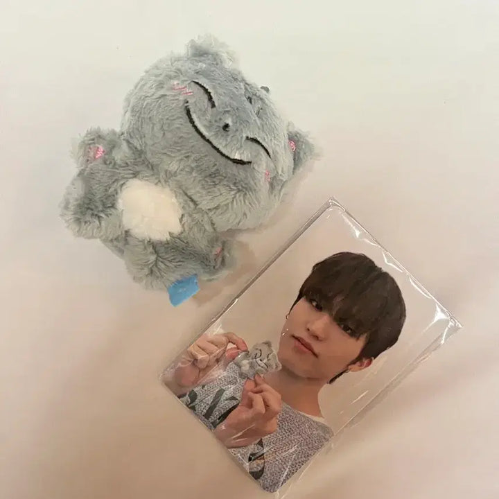 [BUNJANG] TREASURE Jeongwoo Unused Doll with Photocard / 트레저 쩡그 미사용 제품 포카 포함
