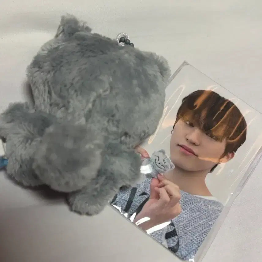 [BUNJANG] TREASURE Jeongwoo Unused Doll with Photocard / 트레저 쩡그 미사용 제품 포카 포함