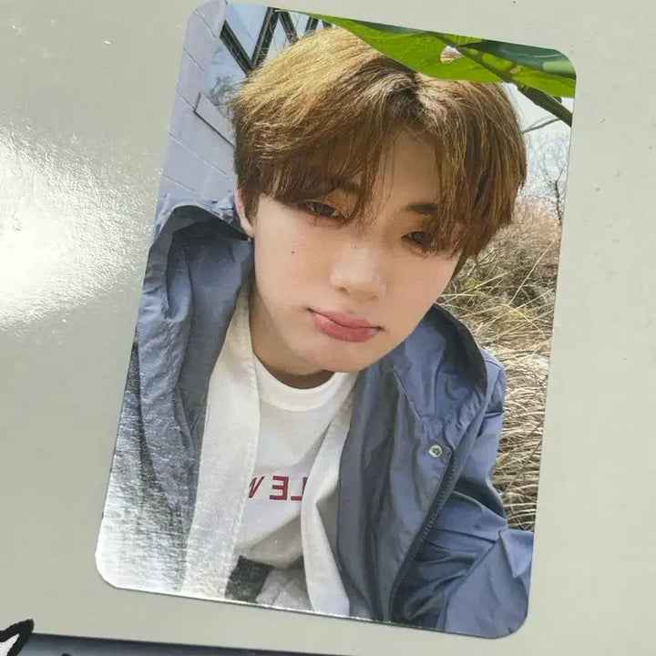 [BUNJANG] AldiWon Hyun Photocard / 알디원 상현 공방포카 2주차