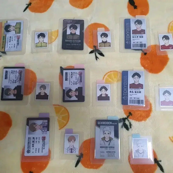 [BUNJANG] Haikyu!! Rimomom Student ID, Team ID, National ID &amp; Photo Bundle Set / 하이큐 ㄹㅁㅁ님 학생증 구단증 국대증  증사 포함 굿즈 일괄 양도 판매