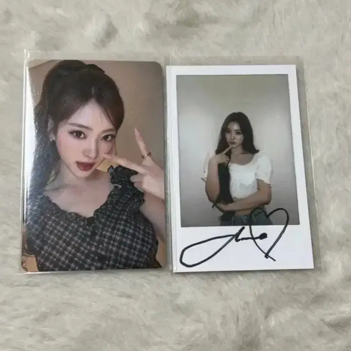 [BUNJANG] Miyau Anna Photocard Set Shanghai Fansign / 미야오 안나 포카 세트 상하이 팬싸