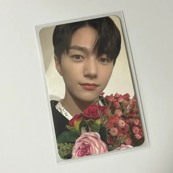 [BUNJANG] Infinite Kim Myungsoo Moment Japan Fortune Photocard / 인피니트 엘 김명수 모먼트 moment 일본 포춘 포카