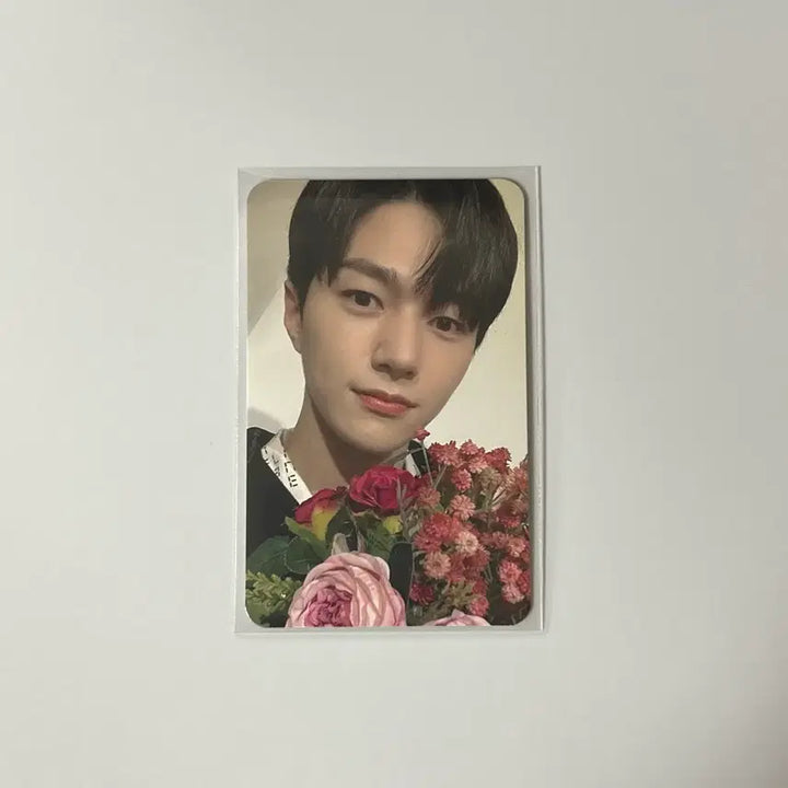 [BUNJANG] Infinite Kim Myungsoo Moment Japan Fortune Photocard / 인피니트 엘 김명수 모먼트 moment 일본 포춘 포카