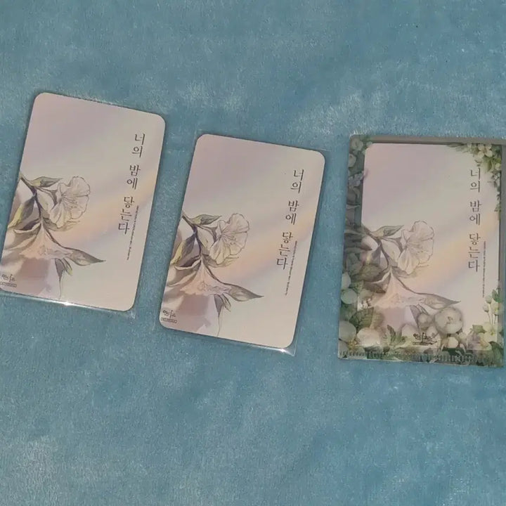 [BUNJANG] Your Night Reaches Me BL Photocard Bundle Set / BL 너의 밤에 닿는다 특전 포카 일괄