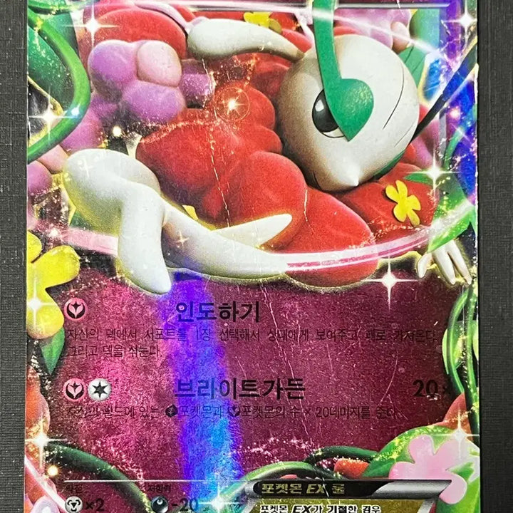 [BUNJANG] Pokemon Card Florges EX (CP4) 2016 / 포켓몬카드 플라제스EX (CP4)-2016-