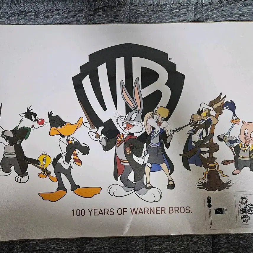 [BUNJANG] Warner Bros. 100th Anniversary Looney Tunes Harry Potter A3 Poster / 워너브라더스 100주년 루니툰 해리포터 a3 포스터