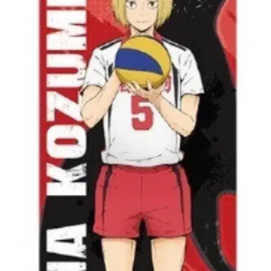 [BUNJANG] Haikyuu!! Nekoma Kenma 2m Tapestry / 하이큐 네코마 켄마 2m 태피스트리