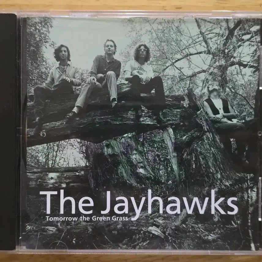 [BUNJANG] The Jayhawks Tomorrow the Green Grass CD / CD 음반 The Jayhawks 제이혹스 - Tomorrow the