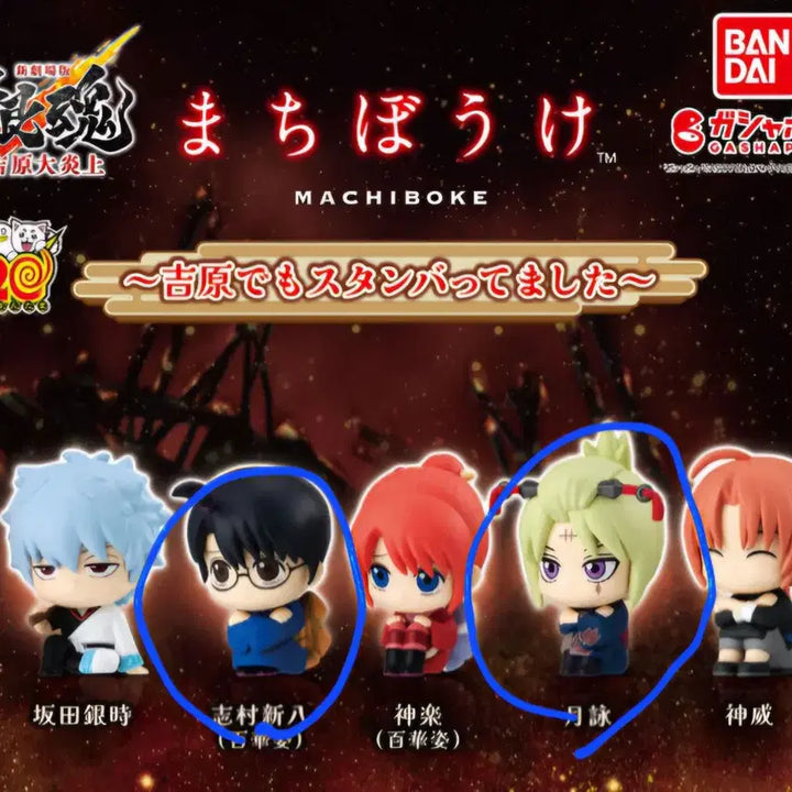 [BUNJANG] Gintama Yoshwara MachiBoke Gacha Shinpachi Tsukuyo / 은혼 요시와라 마치보케 가챠 신파치 츠쿠요