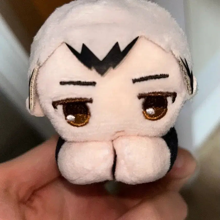 [BUNJANG] Haikyu!! Shinsuke Kita Plush / 하이큐 키타 신스케 누이