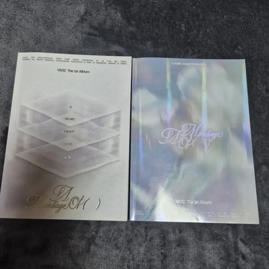 [BUNJANG] VIVIZ The 1st Album &