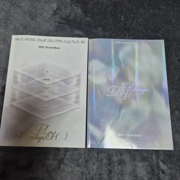 [BUNJANG] VIVIZ The 1st Album &