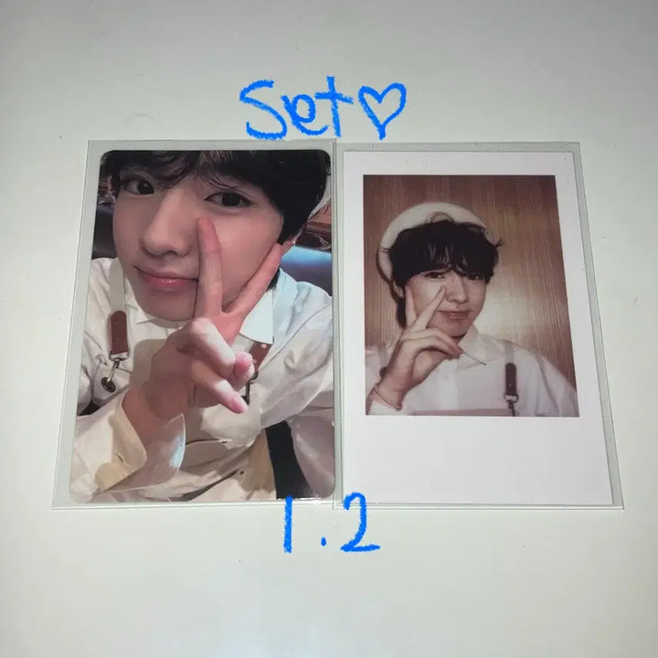 [BUNJANG] NCT Wish Sakuya Steady Song Bird Photocard Bundle Set / 엔시티 위시 사쿠야 포카 판매 양도 일괄 스테디송버드위드뮤탈덕처분