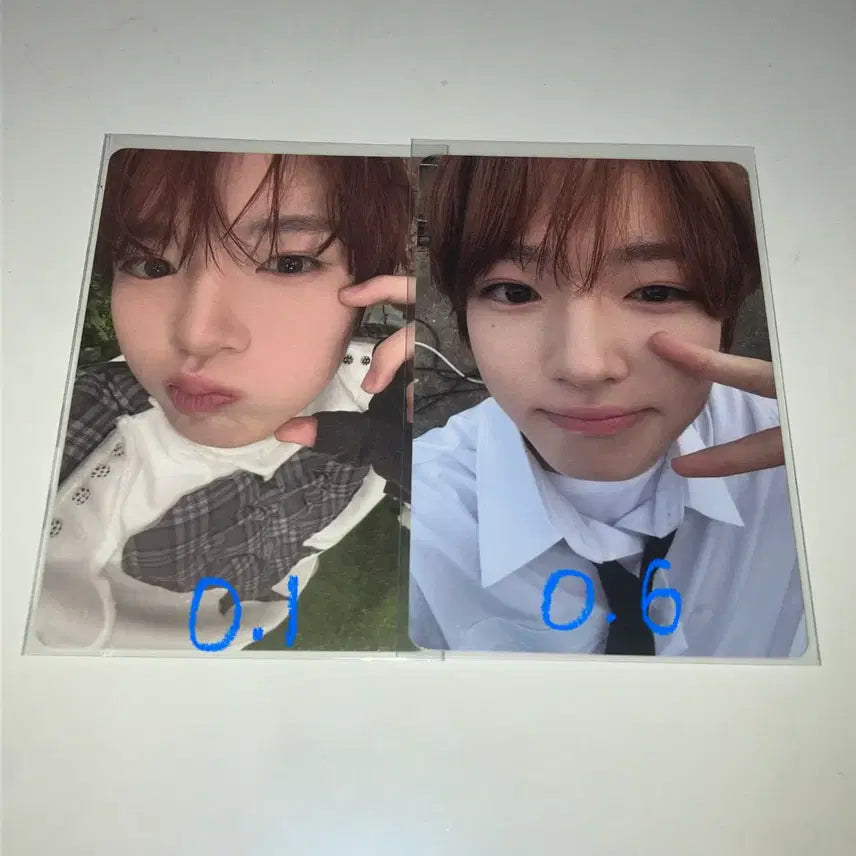[BUNJANG] NCT Wish Sakuya Steady Song Bird Photocard Bundle Set / 엔시티 위시 사쿠야 포카 판매 양도 일괄 스테디송버드위드뮤탈덕처분