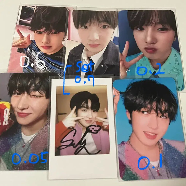 [BUNJANG] NCT Wish Sakuya Steady Song Bird Photocard Bundle Set / 엔시티 위시 사쿠야 포카 판매 양도 일괄 스테디송버드위드뮤탈덕처분