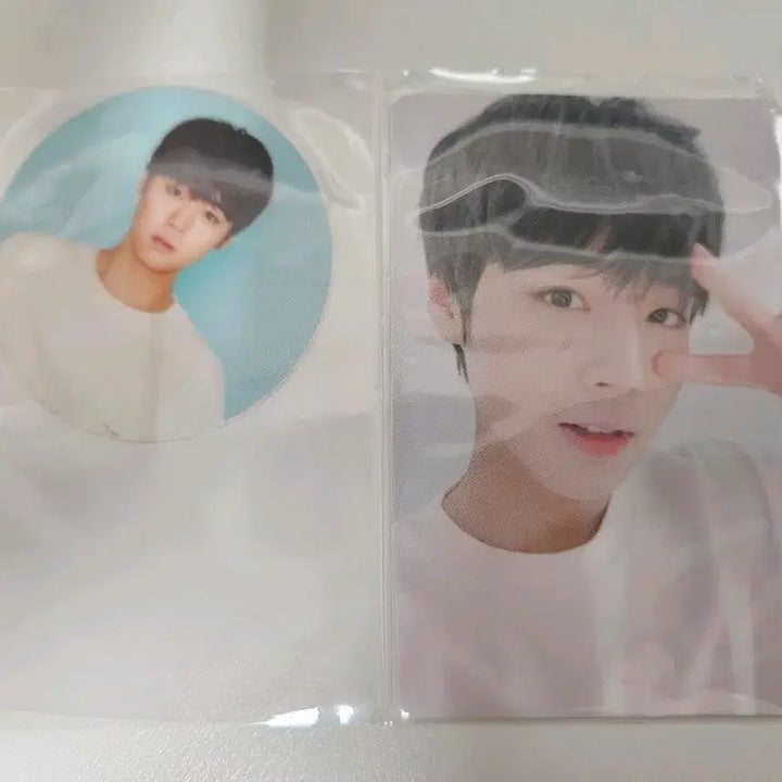 [BUNJANG] Park Jihoon Wanna One Summer Package Photocard Round Sticker / 박지훈 썸머패키지 포카 원형스티커 워너원