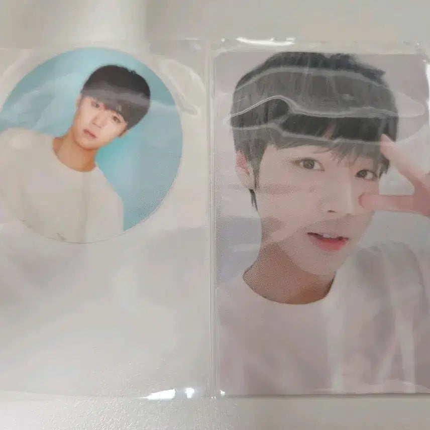 [BUNJANG] Park Jihoon Wanna One Summer Package Photocard Round Sticker / 박지훈 썸머패키지 포카 원형스티커 워너원