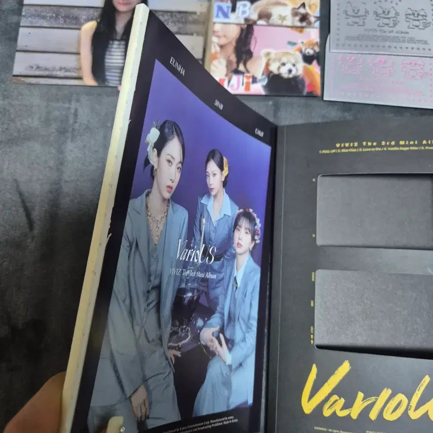 [BUNJANG] Viviz Bundle Set / (일괄) 비비지 여러가지