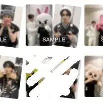 [BUNJANG] Stray Kids Rakuten Photocard Split Set / 스키즈 라쿠텐 포토카드 분철