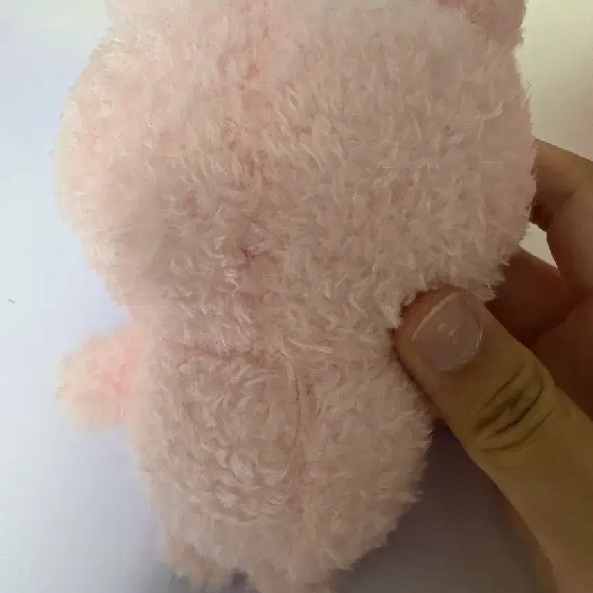 [BUNJANG] Chiikawa Plush Doll / 인뽑 치이카와 인형