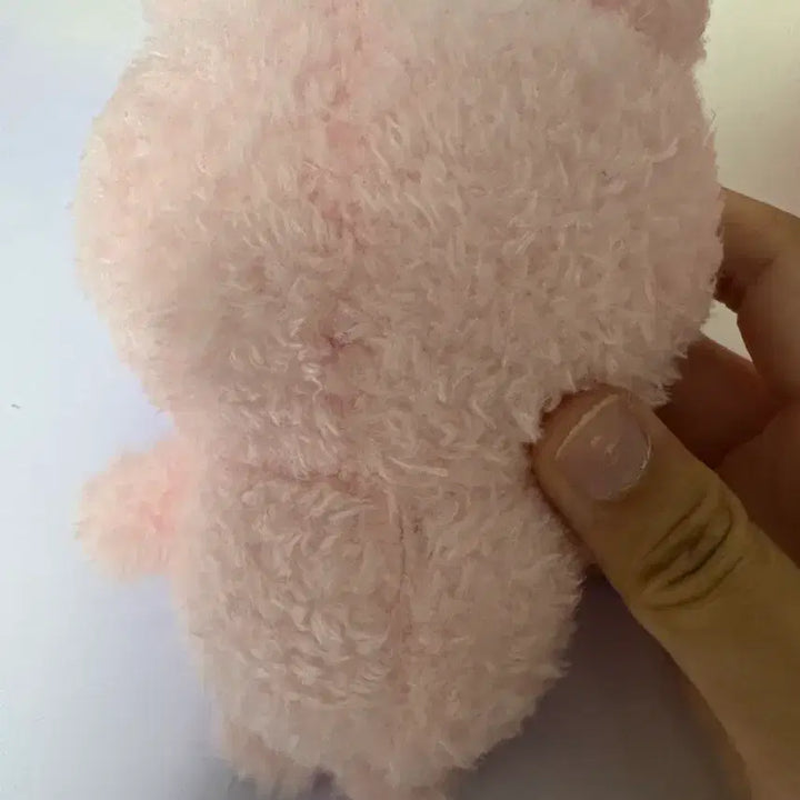 [BUNJANG] Chiikawa Plush Doll / 인뽑 치이카와 인형