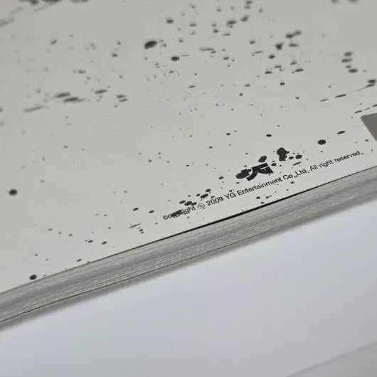 [BUNJANG] BIGBANG Big Show 2009 Photobook / 빅뱅 콘서트 Big Show 2009 포토북