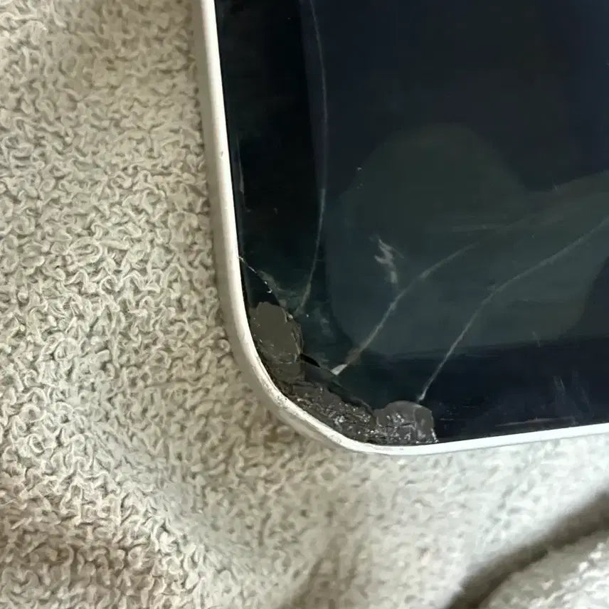 [BUNJANG] Apple iPad Pro 11" M4 256GB (For Parts) / 아이패드 프로 11 M4 256GB 부품용