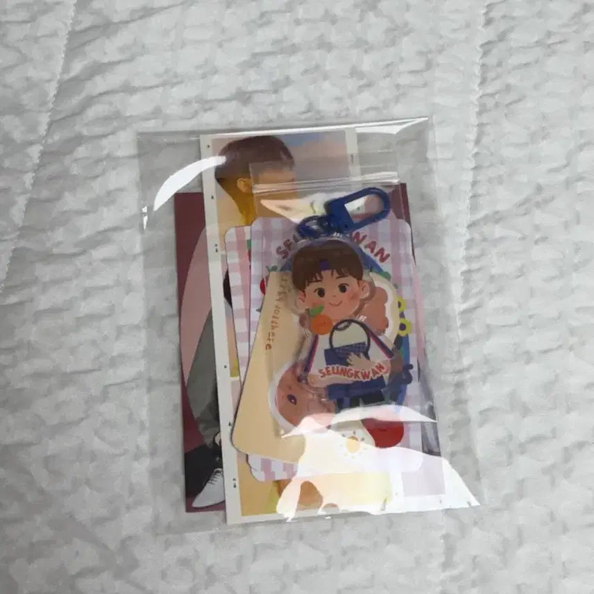 [BUNJANG] Seventeen Photocards, Postcards, Acrylic Keyrings, and Stickers (Bundle Set) / 세븐틴 공굿 비공굿 덤 (쿱스, 호시, 민규, 승관)