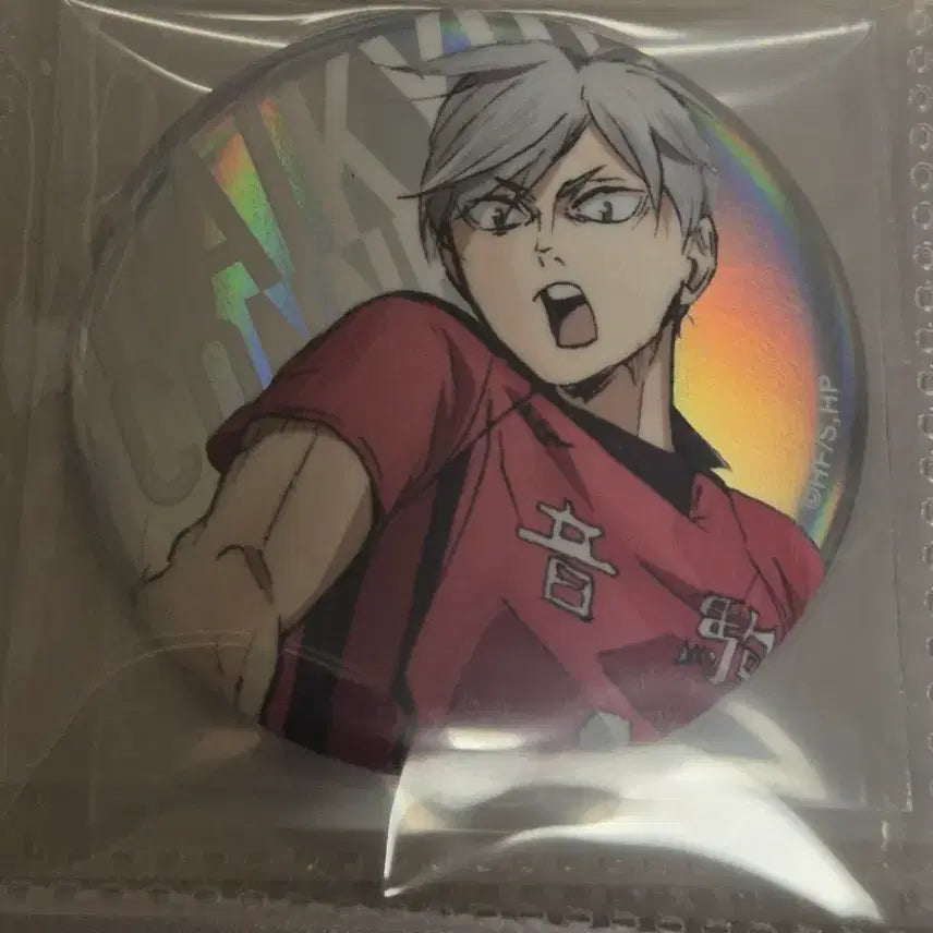 [BUNJANG] Haikyuu!! Nekoma Haiba Lev Can Badge / 하이큐 네코마 하이바 리에프 캔뱃지