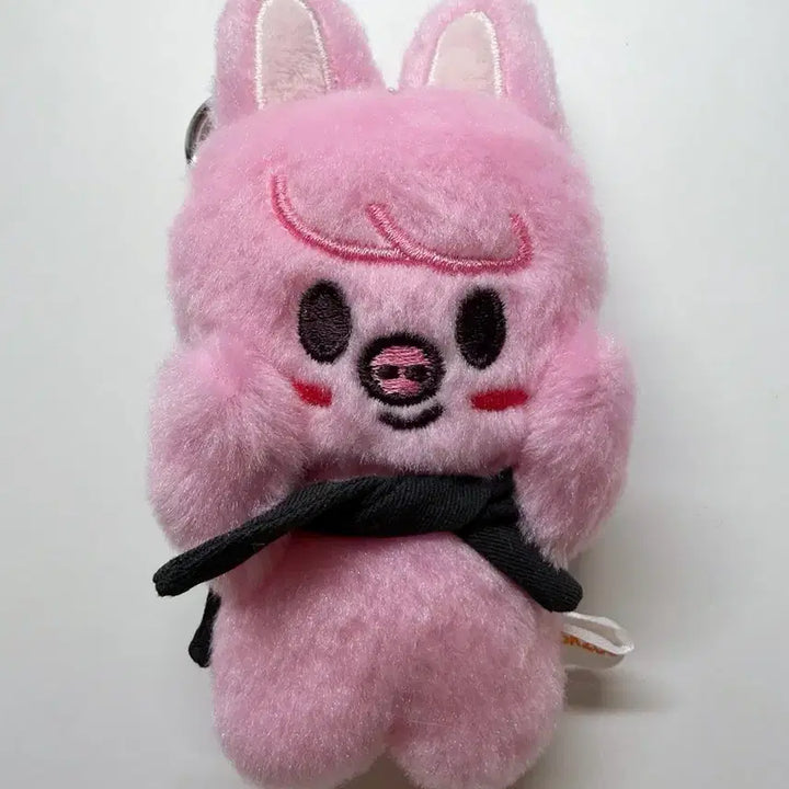 [BUNJANG] Stray Kids SKZOO Changbin Baby Ver. Magnet Plush Keyring / 스트레이키즈 스키주 마그넷 키링 BABY ver. 창빈 돼끼