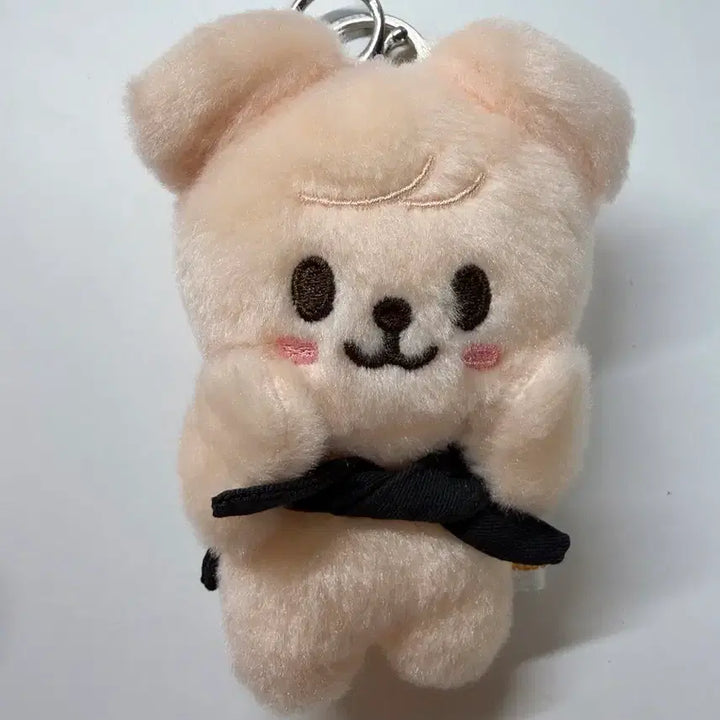 [BUNJANG] Stray Kids SKZOO Seungmin Baby ver. Magnet Plush Keyring / 스트레이키즈 스키주 마그넷 키링 BABY ver. 승민 퍼핌