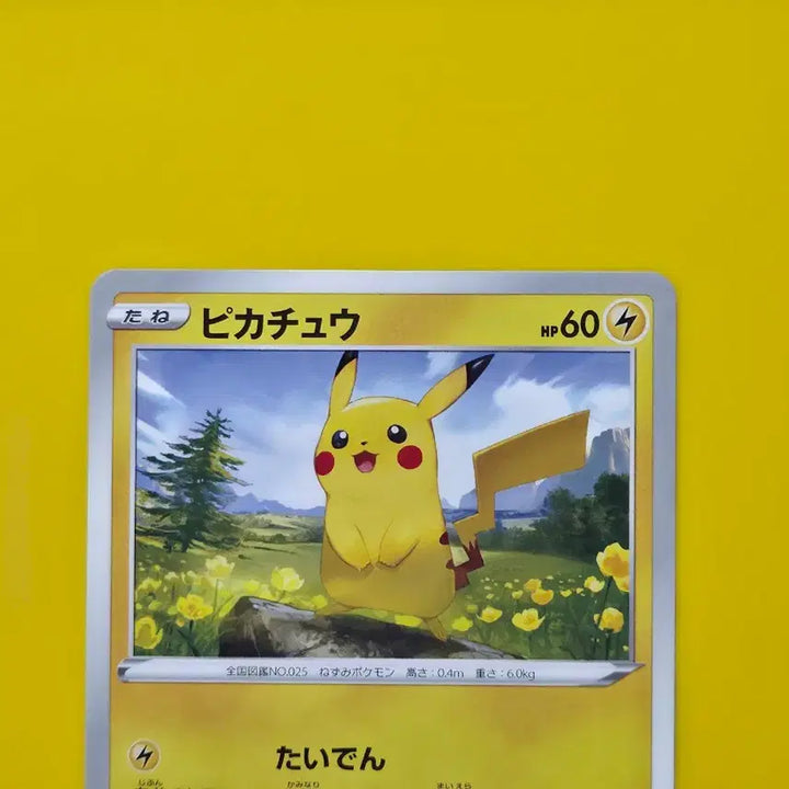 [BUNJANG] Pokemon Card Pikachu Eevee Heroes Japanese Edition / 포켓몬카드 피카츄 이브이히어로즈 일본판