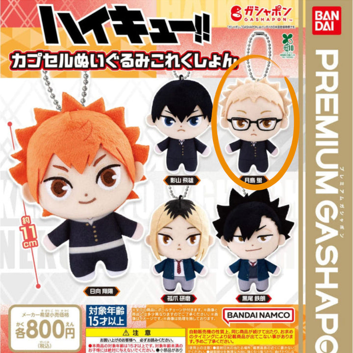 [BUNJANG] Haikyuu!! Tsukishima Kei Plush Keychain / 하이큐 봉제인형 키링 가챠 - 츠키시마 케이