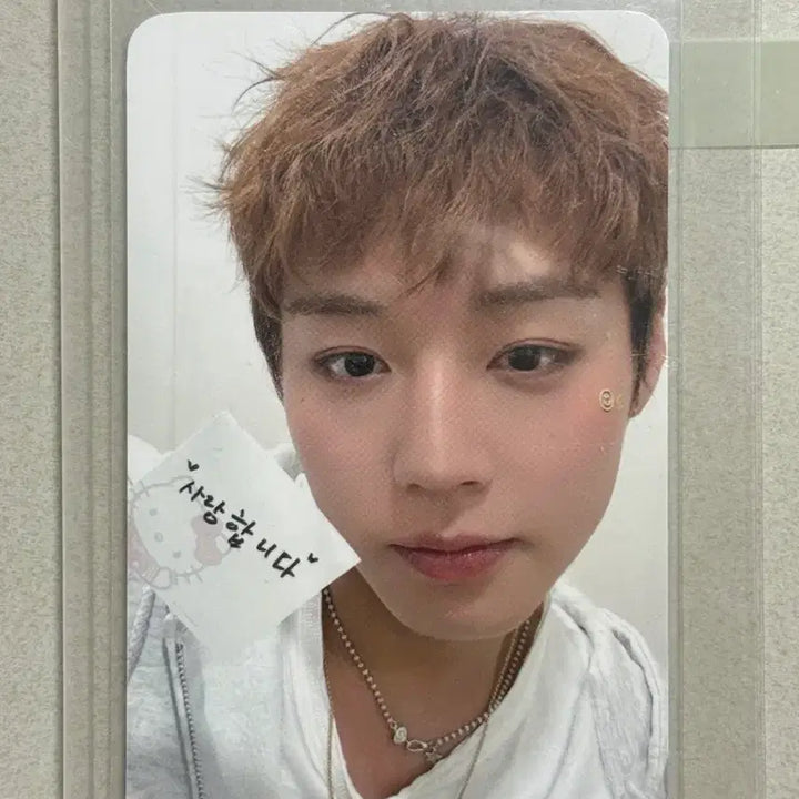 [BUNJANG] Park Ji Hoon Fancon MD Photocard / ((가격인하))박지훈 팬콘 MD 포카