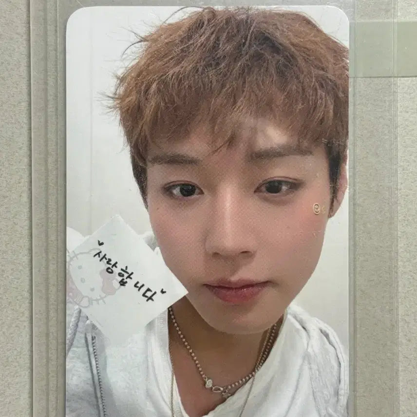 [BUNJANG] Park Ji Hoon Fancon MD Photocard / ((가격인하))박지훈 팬콘 MD 포카
