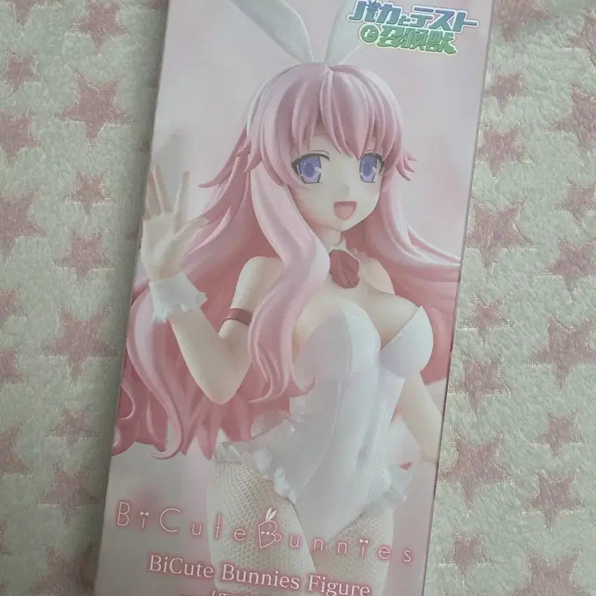 [BUNJANG] Baka and Test Summon the Beasts Himeji Mizuki Figure / 바보와 시험과 소환수 피규어 미소녀 피규어 히메지 미즈키