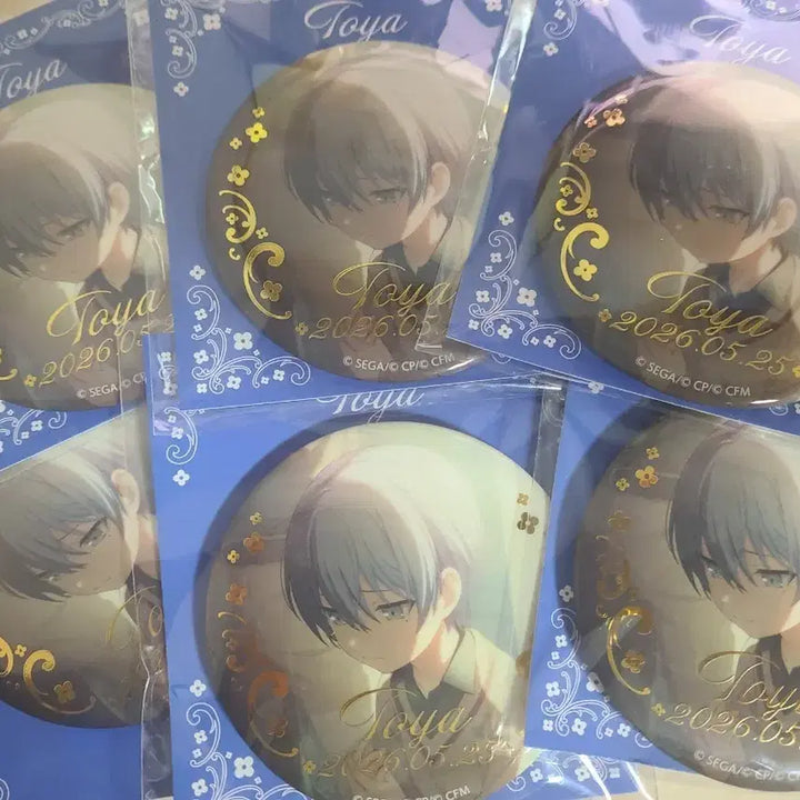 [BUNJANG] Project Sekai Toya Happy Birthday Lottery Chibi Badge / 프세카 토우야 해피 생일 쿠지 치비 각전 뱃지