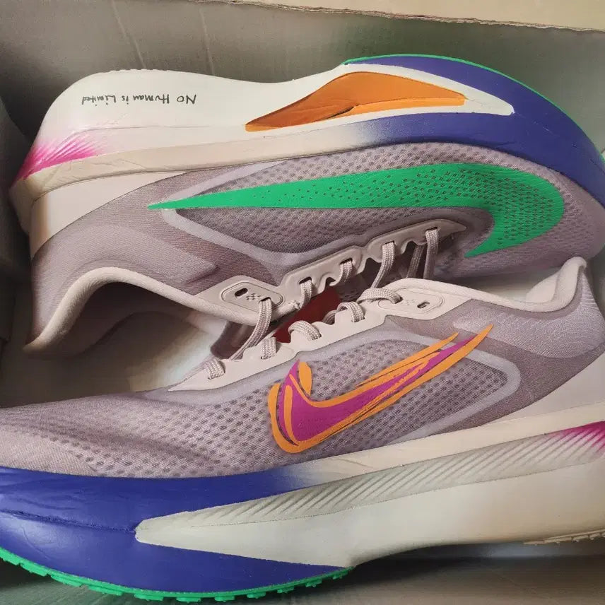 [BUNJANG] Nike Zoom Fly 6 Eliud Kipchoge Running Racing Marathon Shoes / 나이키 줌 플라이 6 엘리우드 킵초게 런닝 레이싱 마라톤 트레일 워킹 스