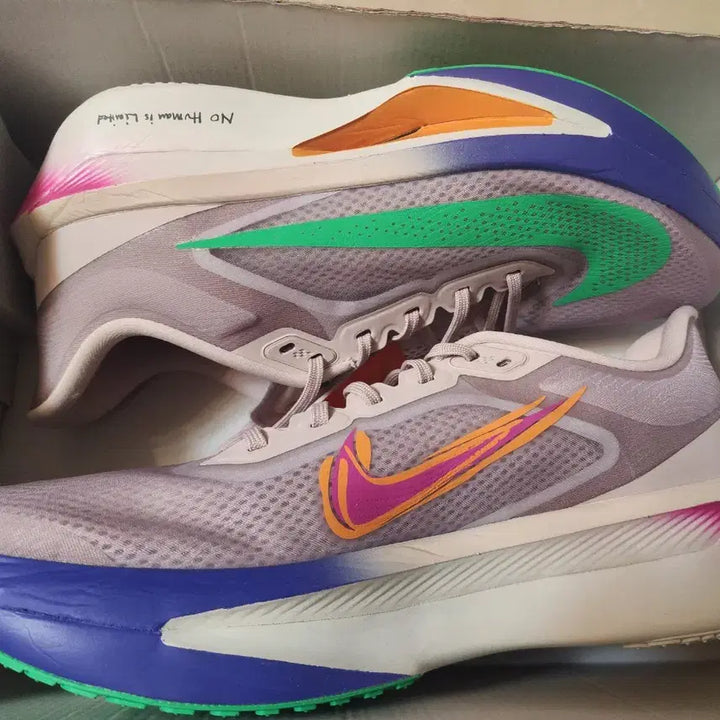 [BUNJANG] Nike Zoom Fly 6 Eliud Kipchoge Running Racing Marathon Shoes / 나이키 줌 플라이 6 엘리우드 킵초게 런닝 레이싱 마라톤 트레일 워킹 스