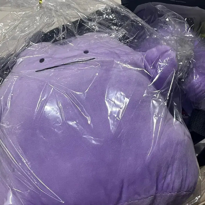 [BUNJANG] Pokemon Day Metamon Backpack Bag (Sealed) / 포켓몬스터 스포츠데이 메타몽 백팩 가방 미개봉