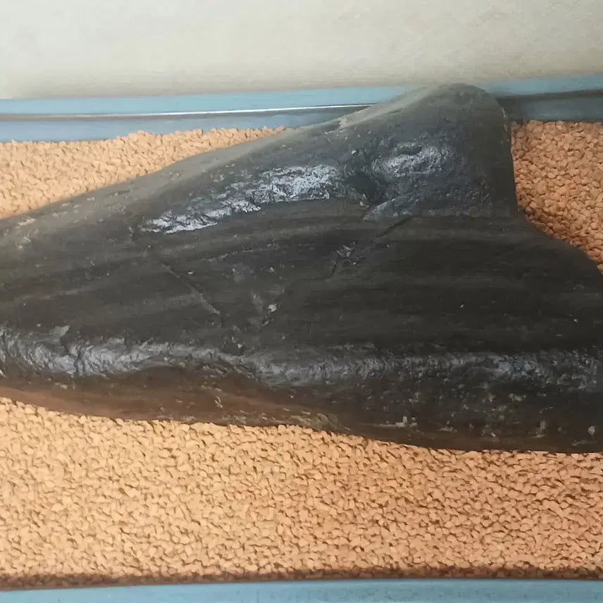 [BUNJANG] Namhan River Plain Stone / 수석(남한강)