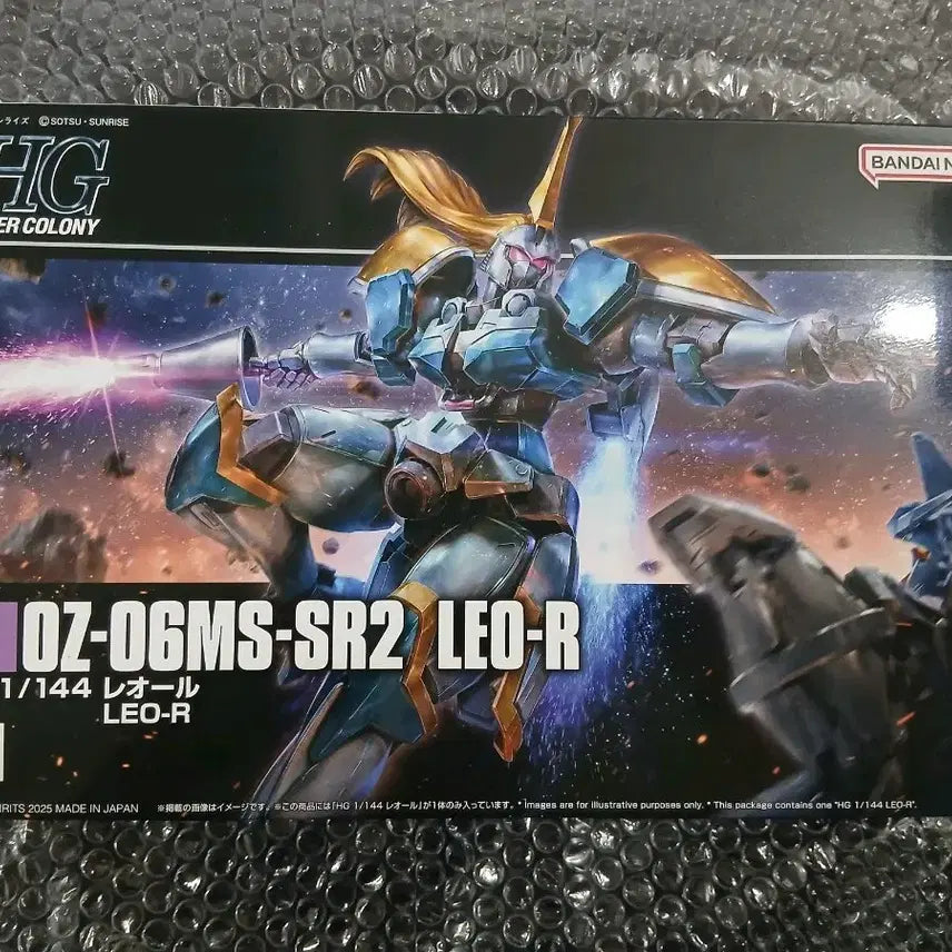 [BUNJANG] Bandai HG Reore / 반다이) HG 레오르