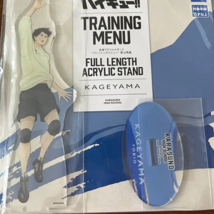 [BUNJANG] Haikyuu!! Kageyama Tobio Training Acrylic Stand / 미개봉)하이큐 트레이닝 아크릴 카게야마